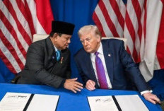 Prabowo-Trump Deal Dagang, Daftar Barang RI Ini Kena Tarif 0% ke AS