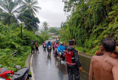 Pohon Tumbang, Personel Polsek Talo Sigap Atur Lalu Lintas