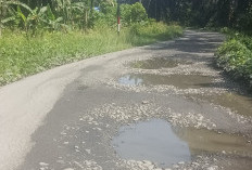 3 KM Akses Jalan Menuju 5 Desa di Kecamatan Ilir Talo, Rusak 