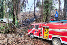 Kebakaran Lahan Lagi, Rumah Warga Hingga Masjid Agung Baitul Falihin Nyaris Ikut Terbakar