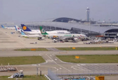 Bikin Iri! Bandara Kansai Catat 30 Tahun Tanpa Kasus Koper Hilang
