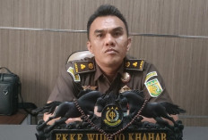 Tim JPU Kejaksaan Negeri Seluma Limpahkan Dua Berkas Tsk Pungli PPG ke Pengadilan Tipidkor