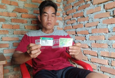 Nyadap Karet, Warga Lubuk Telentang  Seluma Diserang Beruang Madu