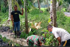 Dandim 0408 BSK Siap Terjunkan Babinsa Bantu Masyarakat, Perkuat Ketahanan Pangan