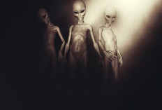 5 Kisah Penculikan Alien Paling Misterius: Antara Fakta dan Imajinas