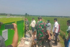 Melek Teknologi, Petani di Seluma Garap Sawah dengan Drone