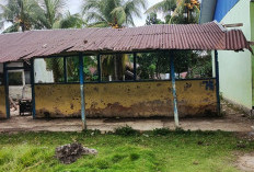Kekurangan Ruang Kelas, Siswa SDN 50 Seluma Terpaksa Belajar di Ruangan Sempit dan Bersekat