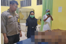 Mobil Pick Up Vs Motor Beat, Pasutri Asal Pino Raya Jadi Korban