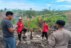 Lahan Sawit Milik Warga Desa Tebat Sibun, Kebakaran 