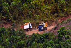 Legislator Gerindra Duga Ada Praktik KKN dalam Pemberian Izin Tambang di Papua