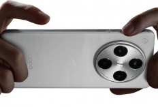 Oppo Find X8 Pro Hadir dengan Kamera Hasselblad dan Layar Super