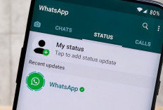 Tiba-tiba Kontak Menghilang di WA, Berikut 8 Cara Memulihkannya