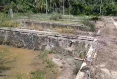   DPRD Soroti Dua Balai Benih Ikan Seluma Terbengkalai, Minta Pemkab Segera Bertindak