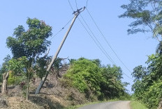 Pak PLN, Tiang Listrik Semakin Miring, Ancam Keselamatan