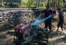 Berikan Motivasi Petani Menggapai Hasil, TNI Hadir Bajak Sawah