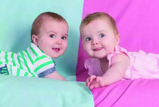 Metode Pilih Jenis Kelamin Bayi Viral di TikTok, Benar-benar Ampuh?