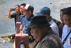 Bupati Bengkulu Selatan, Tinjau Jembatan Terdampak Banjir