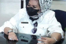 Soal Replanting Sawit di Seluma, Warga Talang Tinggi Siap Didampingi ke Polda