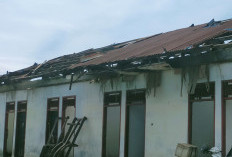 Gudang Penyimpanan Terbengkalai Rusak Milik Dinas Perikanan TPI Pasar Bawah