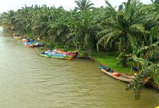 Dampak Siklon Tropis Bakung, Mayoritas Nelayan di Seluma Pilih Berhenti Melaut