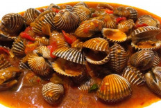 Resep Kerang Dara Saus Padang Cita Rasa Pedas Yang Khas Dan Bumbu Yang Meresap,