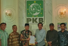 Ketua DPRD Seluma Kunjungi DPP PKB, Terkait PAW