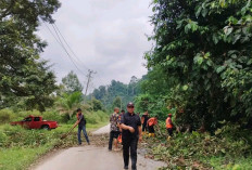 Tanah Longsor dan Pohon Tumbang di Desa Air Tenam, Tutupi Badan Jalan