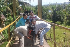 Jembatan Gantung Air Simpur Rusak, Ancam Keselamatan Warga