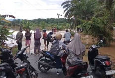 Total 862 KK di Seluma Terdampak Banjir, BPBD Kerahkan Tim dan Siapkan Dapur Umum