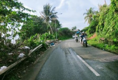 Sampah Dibuang di Pintu Masuk Keluar Pantai Pasar Bawah, DLHK Bengkulu Selatan Geram