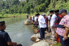 20 Ribu Ekor Ikan Larangan, Dilepas di Air Nelas