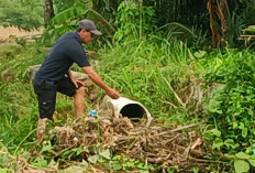 Irigasi Rusak Parah, 36 Hektare Sawah di Seluma Timur Terancam Alih Fungsi