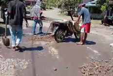  Belum Tersentuh, Warga Muara Danau Seluma, Timbun Jalan Dengan Koral