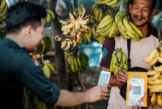   Hingga April 2026, Bank Mandiri Realisasi KUR Tembus Rp14,54 Triliun, Kukuhkan Peran Ekonomi Kerakyatan