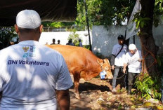 BNI Distribusikan 1.200 Hewan Kurban ke Berbagai Daerah Indonesia