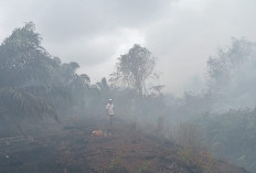 PT SIL Lapor Polisi, Ada Dugaan Sawitnya Dibakar