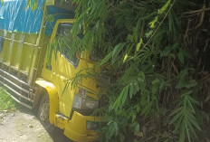 Sopir Diduga Ngantuk, Truk Deisel Terperosok ke Siring