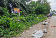 Pelaku Sampah Liar Gentayangan, DLHK  Kerahkan Pengawas