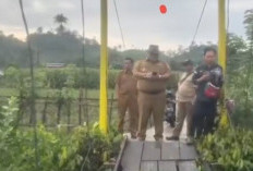  Viral, Bupati BS Sidak Jembatan Batu Ampar   