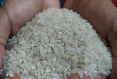 Kasus Beras Oplosan, Komisi III DPR Fokus Usut Keterlibatan Korporasi