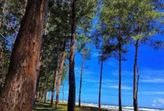 Pantai Pandan Wangi Mukomuko, Pesona Tersembunyi di Pesisir Bengkulu