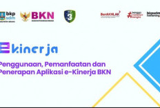 Waduh, Akibat Akali Absen, 400 PNS di Seluma Berpotensi Kelebihan Bayar TPP