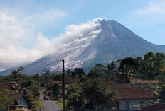 Gunung Merapi Kembali Aktif, Luncurkan Lava Hingga 2 Km