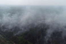 Asap Karhutla dari Kampar Makin Mengancam Pekanbaru