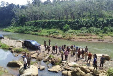 Lubuk Larangan di Desa Taba, Ikannya Sudah Seukuran 4 Jari Orang Dewasa