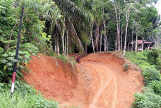 Anggaran Rp 75 Juta, Desa Air Latak Bangun Pembukaan Jalan 950 Meter