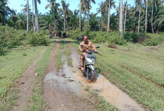 2025, Pemdes Selali Bangun Jalan Rusak Pama Lipai