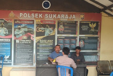 Modus Bantu Jualkan 12 Ekor Sapi Kurban, Warga Sumber Arum Tertipu dan Lapor Polisi