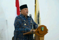 Bupati Bengkulu Selatan akan Perjuangkan PPPK tak di-PHK