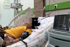 Bocah 10 Tahun di Seluma Diduga Meninggal Dunia Akibat DBD, Dinkes Belum Terima Laporan Resmi